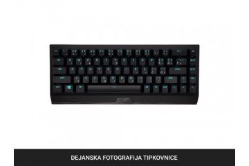 tipkovnice RAZER Tipkovnica Razer BlackWidow V3 Mini HyperSpeed, Green Switch, US SLO g.