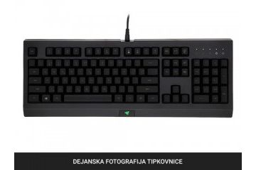 tipkovnice RAZER Komplet Razer Level Up Bundle, Cynosa Lite + Viper Mini + Gigantus V2 M, US SLO g.