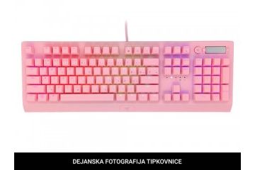 tipkovnice RAZER Tipkovnica Razer BlackWidow V3 Quartz, Green Switch, US SLO g.