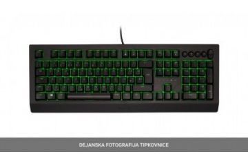 tipkovnice RAZER Tipkovnica Razer Cynosa V2, UK SLO g.